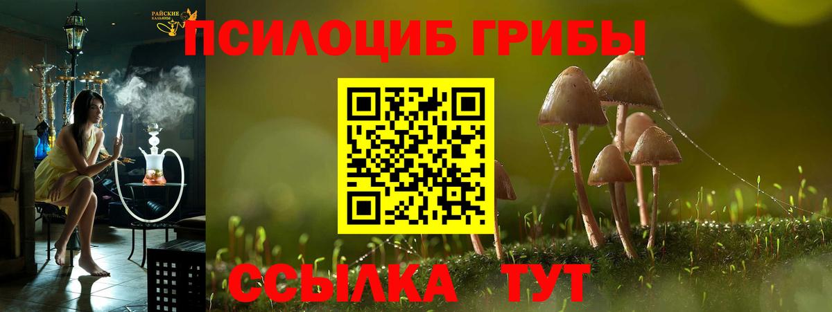 Псилоцибиновые грибы GOLDEN TEACHER Шатура