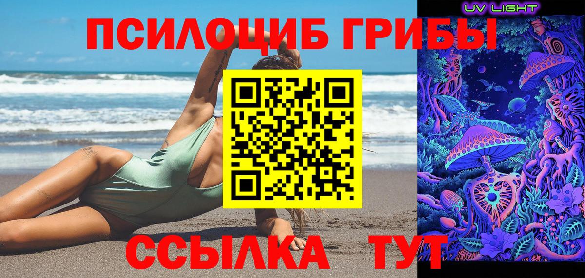 где найти наркотики  Псилоцибиновые грибы мицелий  Псилоцибиновые грибы мухоморы  Вход с VPN  Шатура 